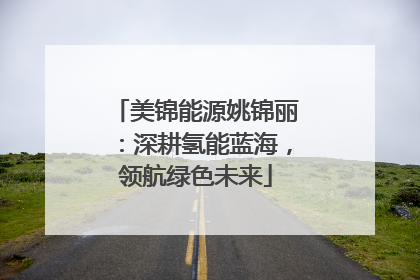 美锦能源姚锦丽：深耕氢能蓝海，领航绿色未来