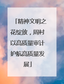 精神文明之花绽放，周村以高质量审计护航高质量发展