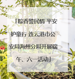 粽香警民情 平安护童行 连云港市公安局海州分局开展端午、六一活动