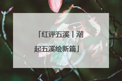 红评五溪丨潮起五溪绘新篇