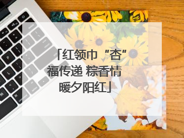 红领巾“杏”福传递 粽香情暖夕阳红