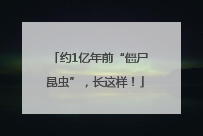 约1亿年前“僵尸昆虫”，长这样！