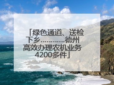绿色通道、送检下乡…………德州高效办理农机业务4200多件