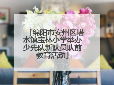 绵阳市安州区塔水镇宝林小学举办少先队新队员队前教育活动