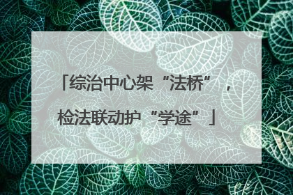 综治中心架“法桥”，检法联动护“学途”