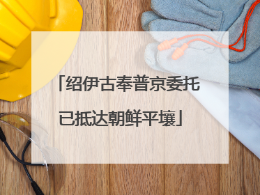 绍伊古奉普京委托已抵达朝鲜平壤