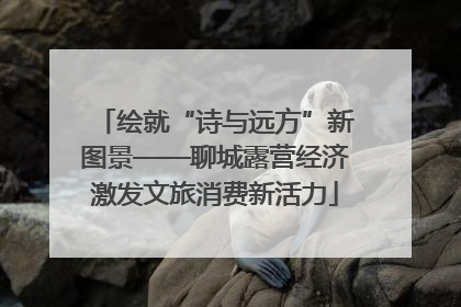 绘就“诗与远方”新图景——聊城露营经济激发文旅消费新活力