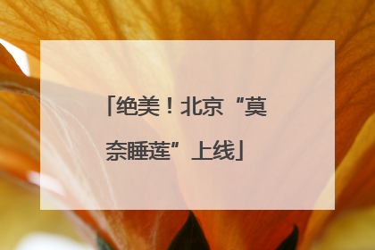 绝美！北京“莫奈睡莲”上线