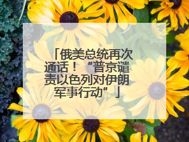 俄美总统再次通话！“普京谴责以色列对伊朗军事行动”