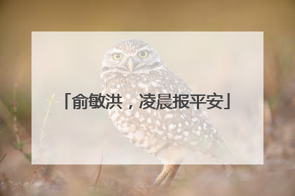 俞敏洪，凌晨报平安