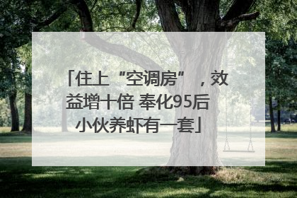 住上“空调房”，效益增十倍 奉化95后小伙养虾有一套