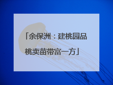余保洲：建桃园品桃卖苗带富一方