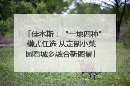 佳木斯：“一地四种” 模式任选 从定制小菜园看城乡融合新图景