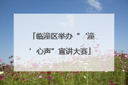 临潼区举办“‘潼’心声”宣讲大赛