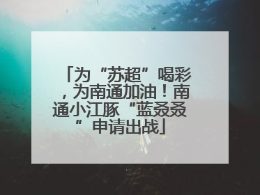 为“苏超”喝彩，为南通加油！南通小江豚“蓝叒叒”申请出战