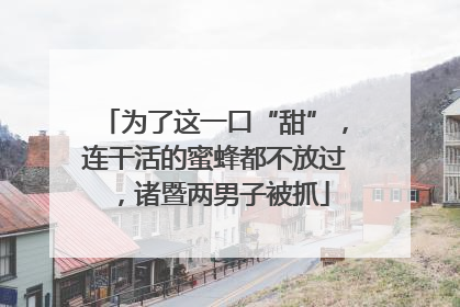 为了这一口“甜”，连干活的蜜蜂都不放过，诸暨两男子被抓