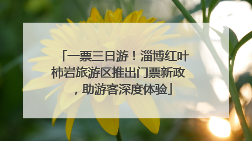 一票三日游！淄博红叶柿岩旅游区推出门票新政，助游客深度体验