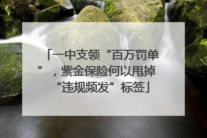 一中支领“百万罚单”，紫金保险何以甩掉“违规频发”标签
