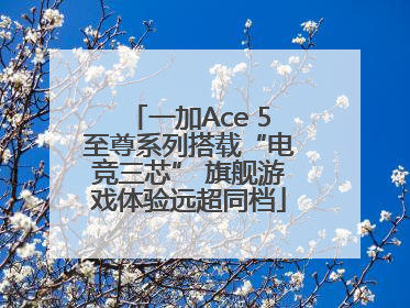 一加Ace 5至尊系列搭载“电竞三芯” 旗舰游戏体验远超同档