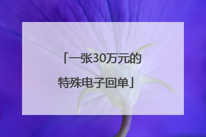 一张30万元的特殊电子回单