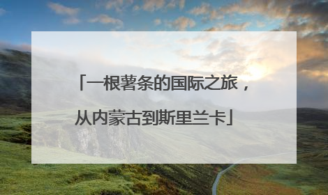一根薯条的国际之旅，从内蒙古到斯里兰卡