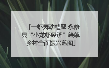 一虾舞动赣鄱 永修县“小龙虾经济”绘就乡村全面振兴蓝图