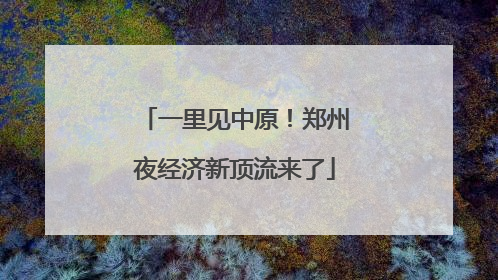 一里见中原！郑州夜经济新顶流来了