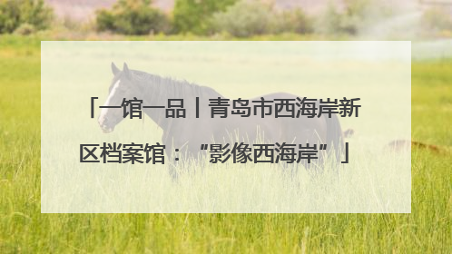 一馆一品丨青岛市西海岸新区档案馆：“影像西海岸”