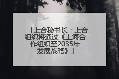 上合秘书长：上合组织将通过《上海合作组织至2035年发展战略》