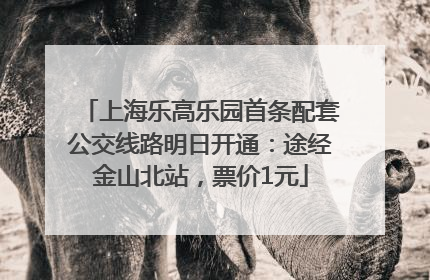 上海乐高乐园首条配套公交线路明日开通：途经金山北站，票价1元
