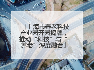 上海市养老科技产业园开园揭牌，推动“科技”与“养老”深度融合