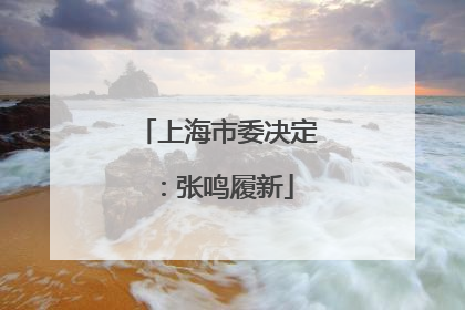 上海市委决定：张鸣履新
