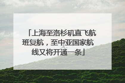 上海至洛杉矶直飞航班复航，至中亚国家航线又将开通一条