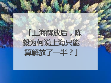 上海解放后，陈毅为何说上海只能算解放了一半？