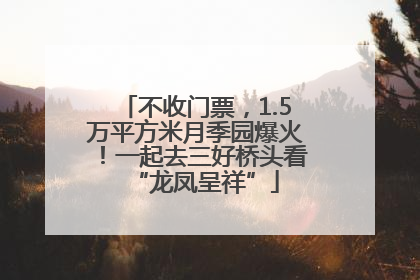 不收门票，1.5万平方米月季园爆火！一起去三好桥头看“龙凤呈祥”