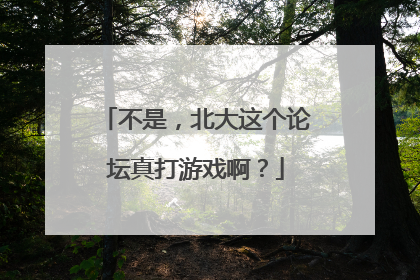 不是，北大这个论坛真打游戏啊？