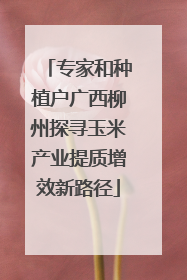 专家和种植户广西柳州探寻玉米产业提质增效新路径