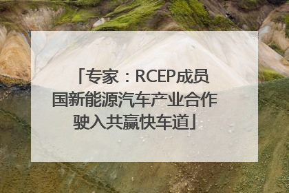 专家：RCEP成员国新能源汽车产业合作驶入共赢快车道