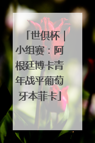 世俱杯｜小组赛：阿根廷博卡青年战平葡萄牙本菲卡