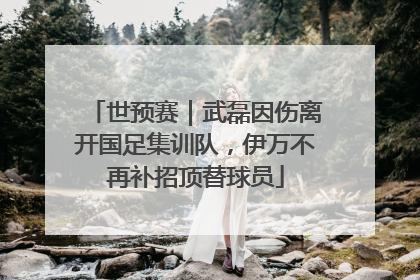 世预赛｜武磊因伤离开国足集训队，伊万不再补招顶替球员