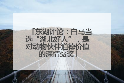 东湖评论：白马当选“湖北好人”，是对动物伙伴道德价值的深情褒奖