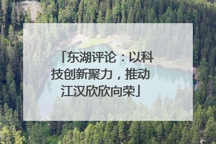 东湖评论：以科技创新聚力，推动江汉欣欣向荣