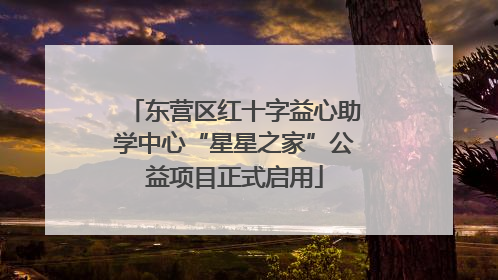 东营区红十字益心助学中心“星星之家”公益项目正式启用