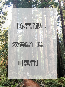 东营消防：浓情端午 粽叶飘香