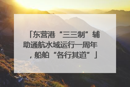 东营港“三三制”辅助通航水域运行一周年，船舶“各行其道”