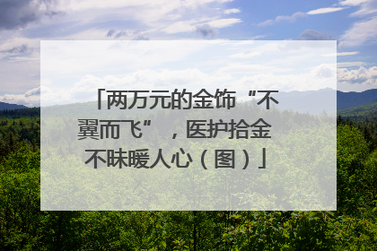 两万元的金饰“不翼而飞”，医护拾金不昧暖人心（图）