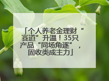 个人养老金理财“赛道”升温！35只产品“同场角逐”，固收类成主力