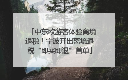 中东欧游客体验离境退税！宁波开出离境退税“即买即退”首单