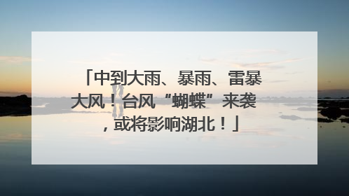 中到大雨、暴雨、雷暴大风！台风“蝴蝶”来袭，或将影响湖北！