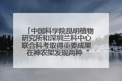 中国科学院昆明植物研究所和深圳兰科中心联合科考取得重要成果 在神农架发现两种“国保”级兰花